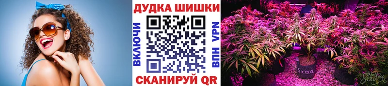 Купить закладки  Среднеколымск  Шишки марихуана марихуана 
